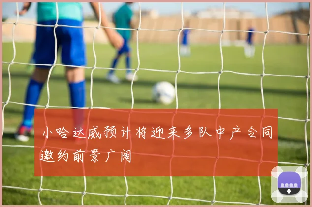 小哈达威预计将迎来多队中产合同邀约前景广阔